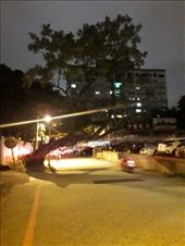 by kiwiaoraki, Views[113]