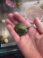 by kiwiaoraki, Views[322]