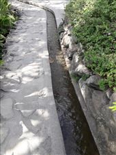 by kiwiaoraki, Views[226]