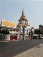 by kiwiaoraki, Views[117]