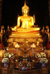 by kiwiaoraki, Views[231]