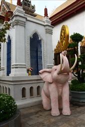 by kiwiaoraki, Views[227]