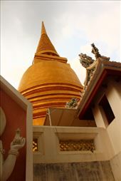 by kiwiaoraki, Views[260]