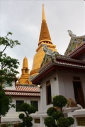 by kiwiaoraki, Views[99]