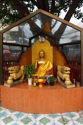 by kiwiaoraki, Views[89]