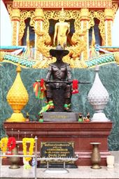 by kiwiaoraki, Views[96]