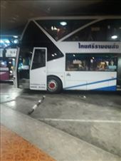 by kiwiaoraki, Views[251]