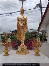 by kiwiaoraki, Views[68]