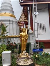 by kiwiaoraki, Views[78]