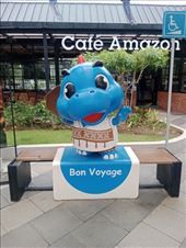 by kiwiaoraki, Views[118]