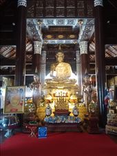 by kiwiaoraki, Views[96]