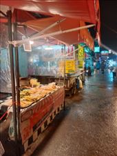 by kiwiaoraki, Views[72]