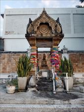 by kiwiaoraki, Views[211]