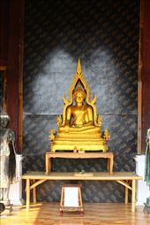 by kiwiaoraki, Views[111]