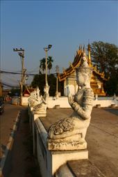 by kiwiaoraki, Views[94]