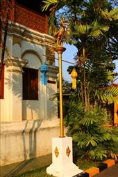 by kiwiaoraki, Views[135]