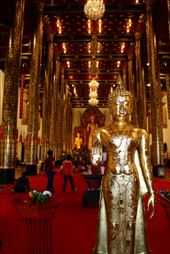 by kiwiaoraki, Views[110]