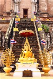 by kiwiaoraki, Views[98]