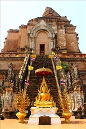 by kiwiaoraki, Views[115]