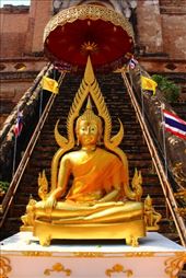 by kiwiaoraki, Views[109]