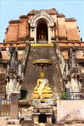 by kiwiaoraki, Views[116]