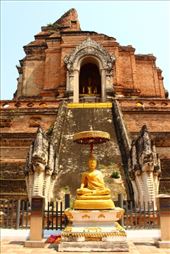 by kiwiaoraki, Views[117]