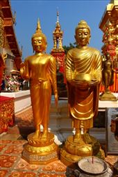 by kiwiaoraki, Views[86]