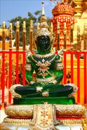 by kiwiaoraki, Views[88]