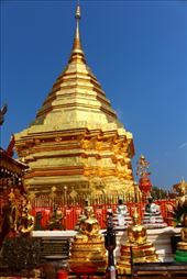 by kiwiaoraki, Views[108]