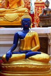 by kiwiaoraki, Views[87]