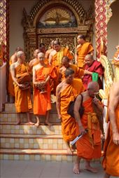 by kiwiaoraki, Views[92]