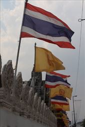 by kiwiaoraki, Views[105]