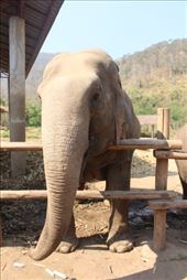 by kiwiaoraki, Views[83]