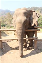 by kiwiaoraki, Views[100]