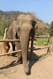 by kiwiaoraki, Views[102]