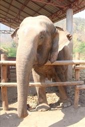 by kiwiaoraki, Views[109]