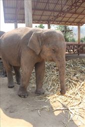 by kiwiaoraki, Views[90]