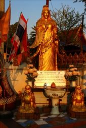 by kiwiaoraki, Views[248]