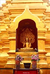 by kiwiaoraki, Views[485]