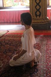 by kiwiaoraki, Views[68]