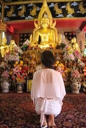 by kiwiaoraki, Views[54]