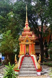 by kiwiaoraki, Views[206]