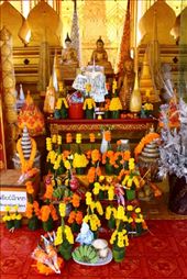 by kiwiaoraki, Views[78]