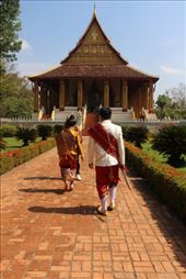 by kiwiaoraki, Views[146]