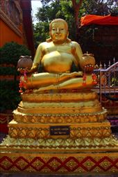 by kiwiaoraki, Views[125]