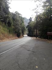 by kiwiaoraki, Views[332]