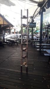 by kiwiaoraki, Views[82]