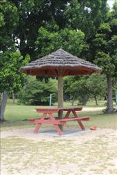 by kiwiaoraki, Views[84]