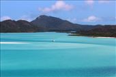 by kiwiaoraki, Views[123]