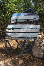 by kiwiaoraki, Views[97]